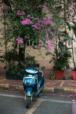 Honda Activa 6G